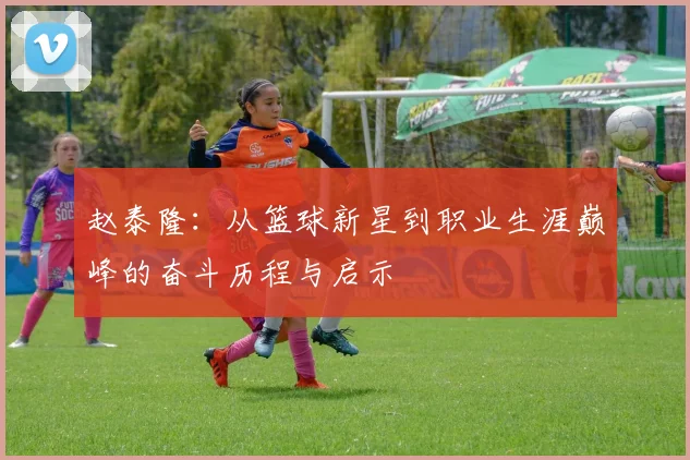 赵泰隆：从篮球新星到职业生涯巅峰的奋斗历程与启示