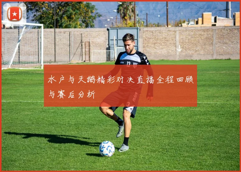 水户与天鹅精彩对决直播全程回顾与赛后分析